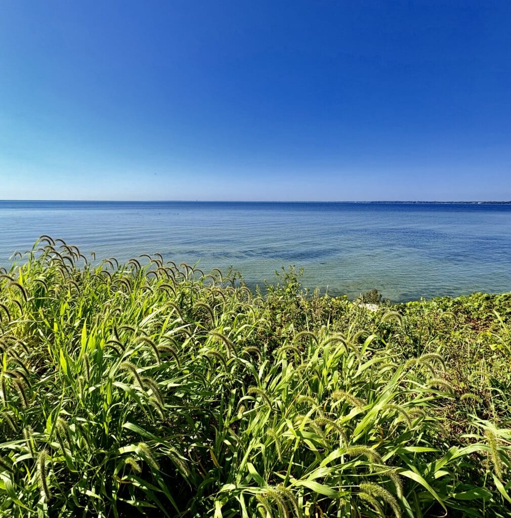 Harrison Township, Michigan